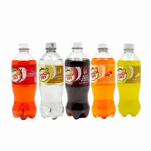 Canada Dry Soda peach, pineapple, cranberry, black cherry, vanilla cream soda and cherry fruit splash 20 oz 6/ 12/ 24 Pack