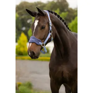 IT08338 LeMieux Vogue Headcollar Halter & Lead Rope Set - Powder Blue