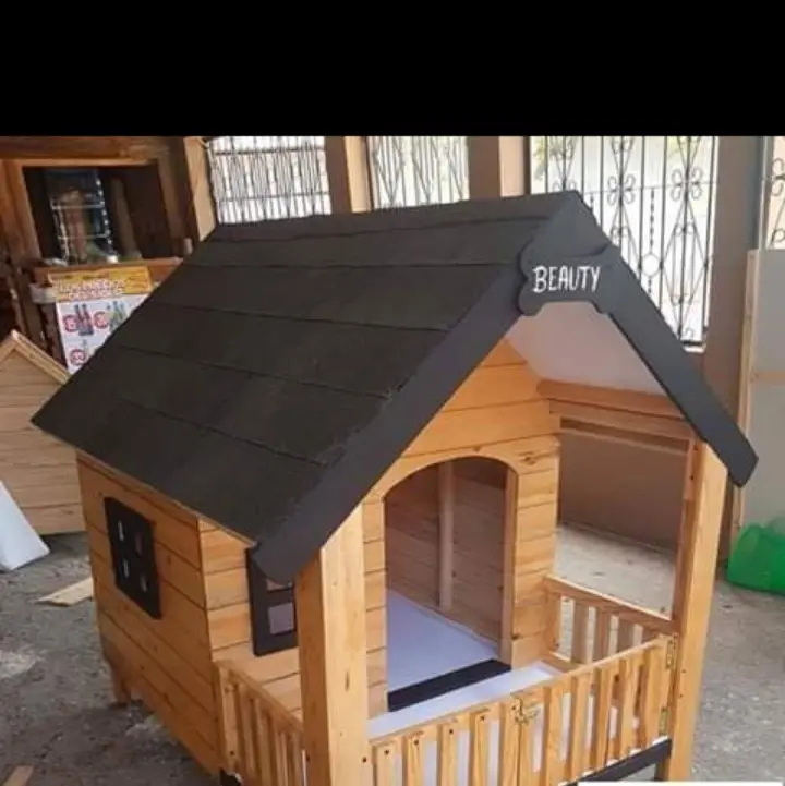 beautiful pet house