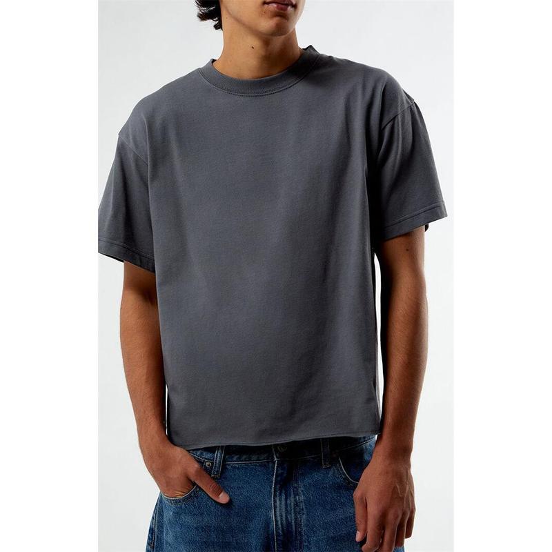 Pacsun Men's Premium Cropped T-Shirt