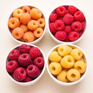 Fall Bearing Raspberry Bundle – 4 Non-GMO Varieties (Heritage, Caroline, Anne & Double Gold) – Hand Picked Nursery