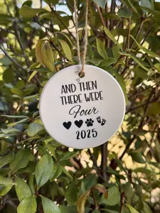 pregnancy  announcement ornament says And then there were four