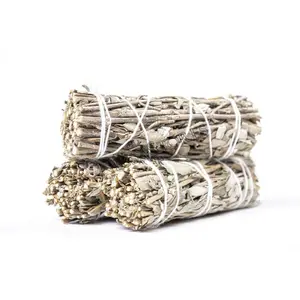 Royal Sage Salvia Officinalis Real Smudge Incense 4" Bundle (3 pcs) #JC-146