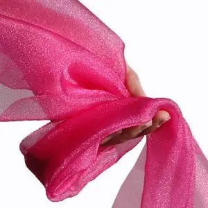 Sparkle Organza Twinkle