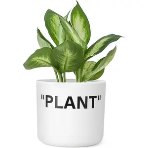 Inspired Sneaker Planter, Hypebeast Room Decor, Small 5 Inch Cylinder White Plastic Indoor  Pot with Built in Drainage Hole, Mini Flower Pot, Sneakerhead .