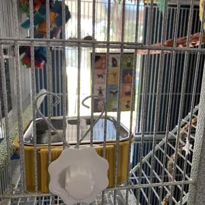 PetSafe 2-in-1 Plastic Pet Bowl with Removable Stainless Steel Insert & 10 Plastic Rings Set - 5"x5" Deep Feeder/Bath Dish with Vertical-bar Mount for Birds Hamsters Guinea Pigs