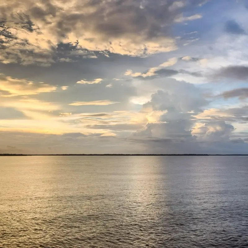 Golden Calm - 8x10 Weighted Print Decor Photo