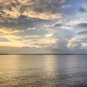 Golden Calm - 8x10 Weighted Print Decor Photo