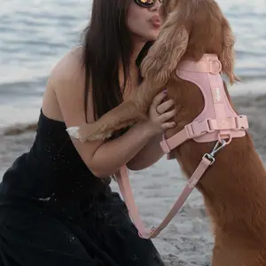 Walk Kit Set: Rose Gold - Comfy and Stylish Dog Walking Experience
