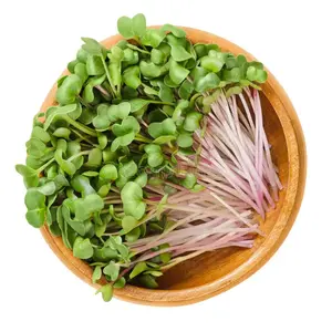 Radish