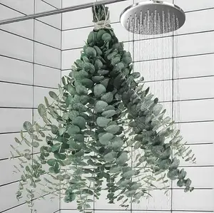 11 PCS Real Dried Eucalyptus Stem for Shower & Bathroom Decor - 17'' Large Natural Fresh Eucalyptus Leaves Hanging Plants, Shower Stuff Green Home Vase Decor, DIY