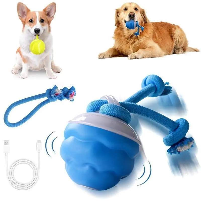 Smart Dog Toy, Interactive Chew, 1 Box USB Rechargeable Bite Resistant Dog Toy, Self Entertaining Toy for Dogs to Relieve Boredom, Dog Walking Toy