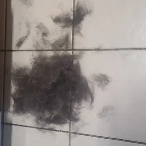 SleekEZ Cat Brush for Shedding & Grooming, Wooden Handle & Stainless Steel Blade, Pet Brush for Indoor Cats, 2.5 Inches Long Groomer Tools Fur Removal Tool