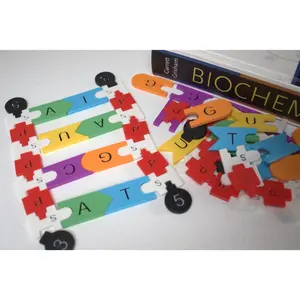 Classroom Sets of DNA Building & Practice Kit