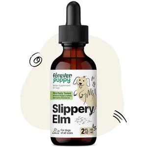 Slippery Elm Drops for Dogs - Gut Health Supplement with Slippery Elm Bark - Soluble Fiber Digestive Drops for Dogs - Liquid Vitamins and Supplements - Sugar & Alcohol-Free - 2 fl oz