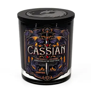 Cassian - ACOTAR inspired 8oz Scented Candle - Crackling Embers, Icy Wind, Vanilla Musk, Wood - Natural Coconut Wax - 35h Burn Time - Bookish Decor