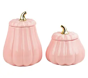 10 Strawberry Street Set of 2 Pink Graduated Gourd Canisters