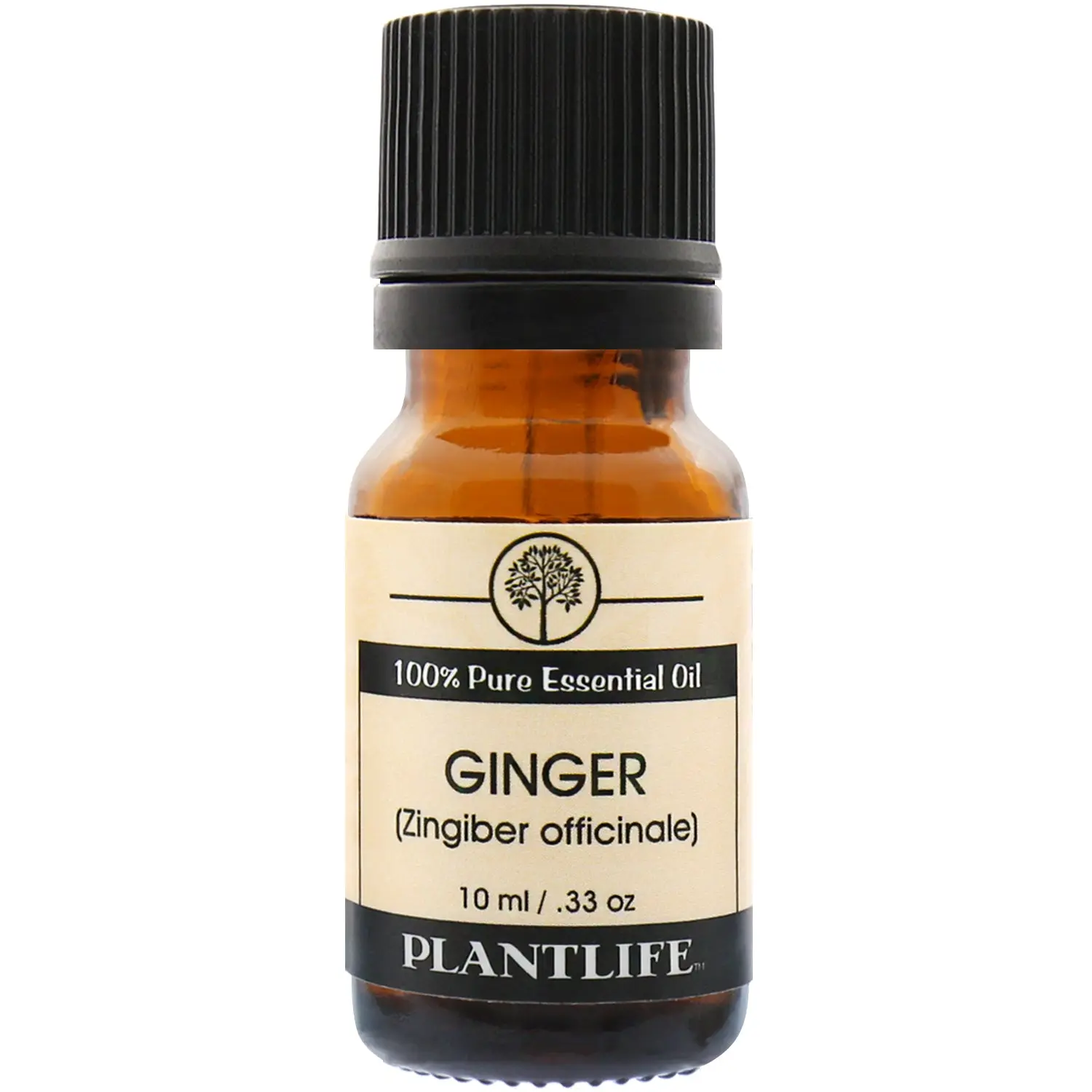 Plantlife Ginger Essential Oil 10 ml – Warm Spicy Aromatic Oil for Energizing, Comforting Blends