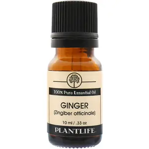 Plantlife Ginger Essential Oil 10 ml – Warm Spicy Aromatic Oil for Energizing, Comforting Blends