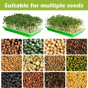 Wheat Grass Catnip Seeds, Barley Malt Sprout Seedlings, Catnip Hairball Relief, Planting Tray, Ideal for Cats