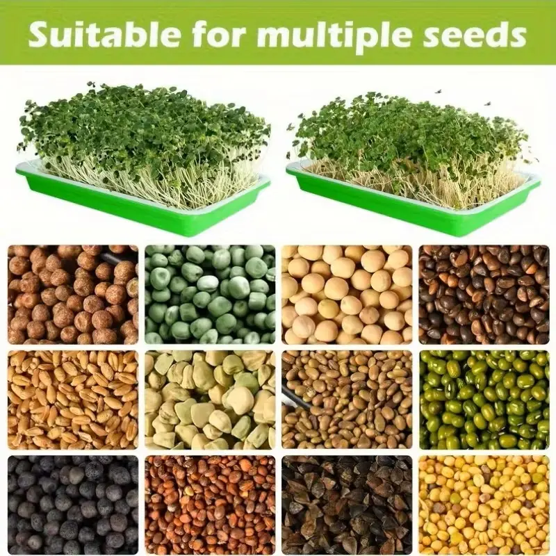 Wheat Grass Catnip Seeds, Barley Malt Sprout Seedlings, Catnip Hairball Relief, Planting Tray, Ideal for Cats, Wheatgrass, Feline Grass Treats