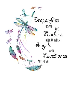 Dragonflies w/sayings
