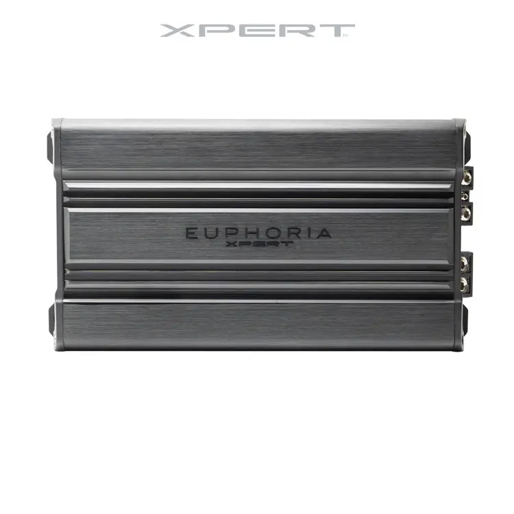 EX3000.1 : Full Range Class D Monoblock Amplifier