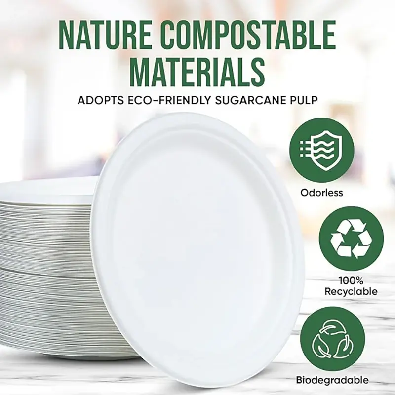 9 Inch Eco Plates 50 Pack, Made from Renewable Sugarcane, Bpa-Free and Biodegradable, for Sustainable Parties and Daily Meals​ NONE