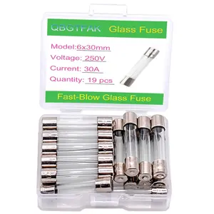 19 Pcs 6x30mm 30 A 30 amp 250 V 0.24x1.18 Inch Volt F30AL250V Fast-Blow Glass Fuses (30A)