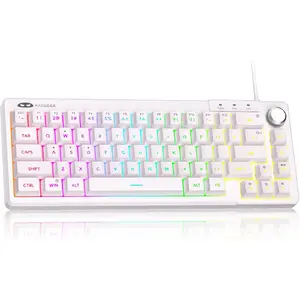 Gaming Keyboard, RGB Backlit Ultra-Compact Keyboard, TS68 Ergonomic Waterproof Mechanical Feel Office Computer Keyboard, Suitable for PC, MAC, PS4, Xbox ONE Gamers