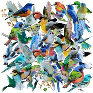 40PCS Waterproof Bird Stickers for Scrapbook Journal Laptop Water Bottle Cell Phone Cases Ideal Gift Aesthetic Crafts for Adults Kids