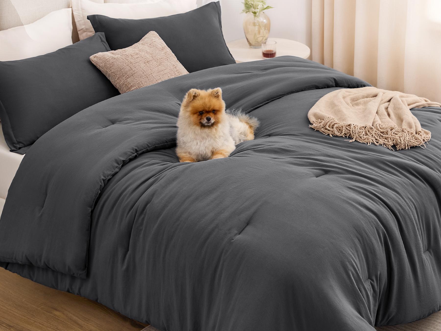 Prewashed Comforter Set,  Bed Set with 1 Comforter &  Pillowcases, Lightweight & Breathable for All Seasons | Soft, Breathable, Lightweight, Comfortable