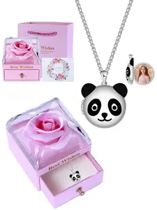 Musei Fashionable women's necklace, small panda pendant locket necklace, opens to hold small photos, comes with a rose gift box, inlaid with birthstosuitable for girlfriends and sisters