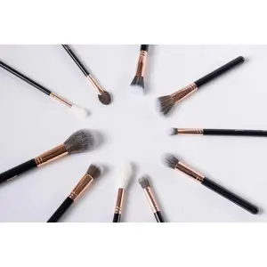 PRECISION FACE BRUSH SET - 10 PC