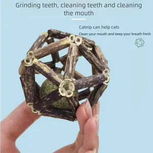 【Buy 1 Get 2 Free】Catnip Toys, Cat Toys Natural Silvervine Stick Cage Balls & Bell Ball for Indoor Cats, Kitten Cleaning Teeth Molar Cat Chew Toy All Breeds Lovely Caves Assorted Silvervine Stick Cage Ball Cat Chew Toy