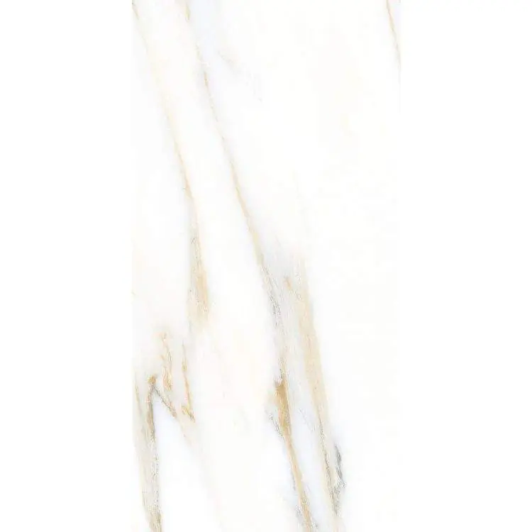AGL Calacatta Gold Matte 12 x 24
