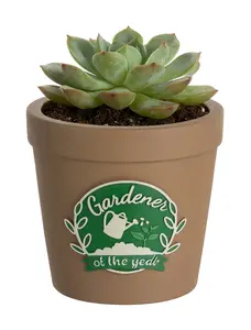 Plant Pot with Hand-Printed Writing "Gardener of the Year", Fun Garderning Gift for Women Mother's Day Kitchen Bathroom Office