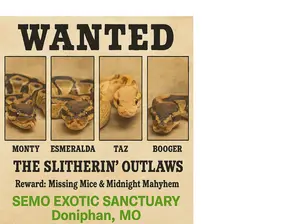 Simon "Wanted Poster" Unisex Graphic Tee Casual Everyday Versatile Fit for All Genders Bold Print Comfortable for Everyday Use