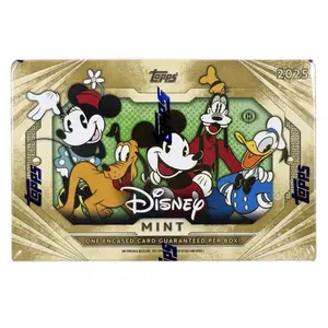 Disney Mint Hobby Box