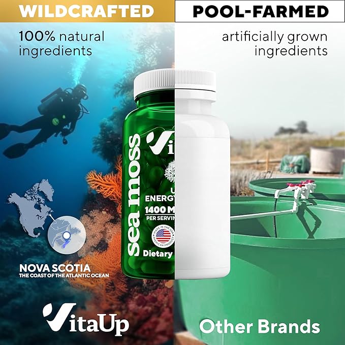 Wildcrafted Irish Sea Moss Capsules with Burdock Root & Bladderwrack - USA Made SeaMoss Pills for Hair, Skin, Thyroid Health - Natural Immune & Energy Support - Sea Moss Pills