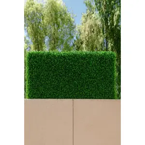 The Haven Luxe Privacy Hedge