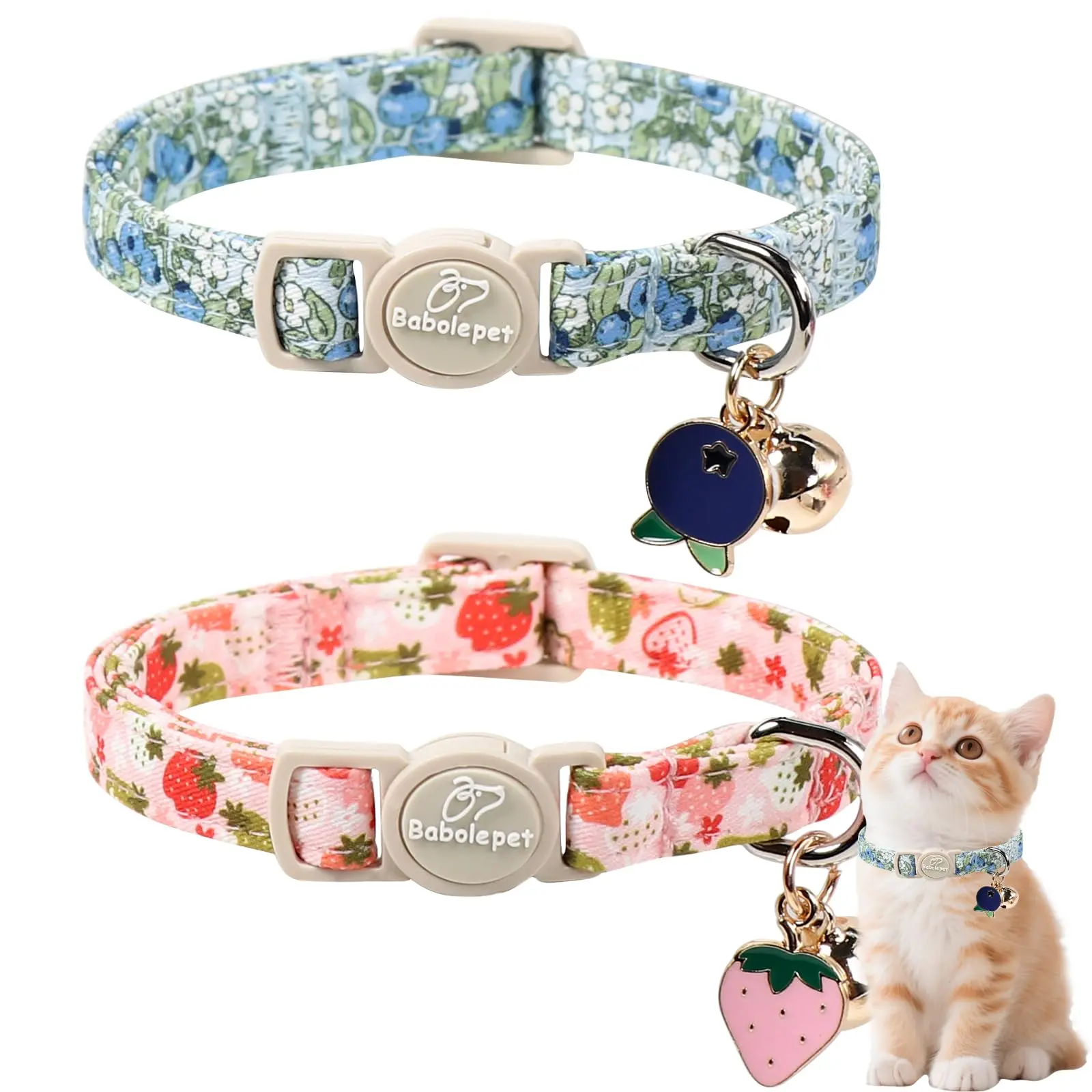 Bluberry and Strawberry1