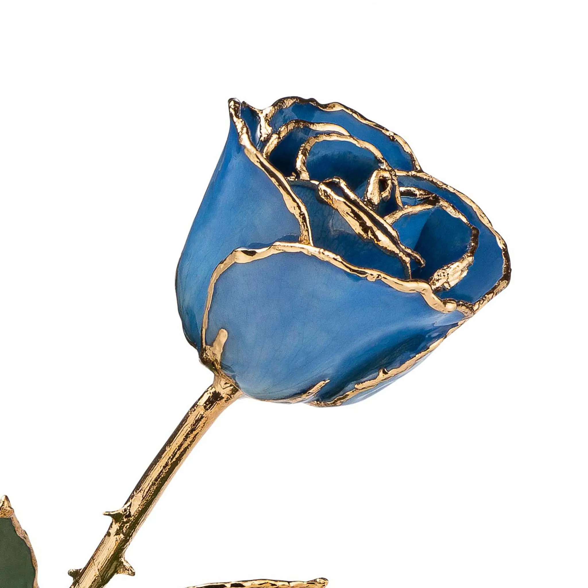 24K Gold Forever Rose - Forever Blue