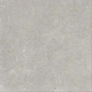 20 x 20 in Coliseo Graphite Matte Pressed Glazed Porcelain Tile