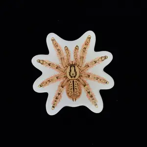 Feather Leg Baboon Tarantula Acrylic Magnet Enclosure Tag (Stromatopelma calceatum)