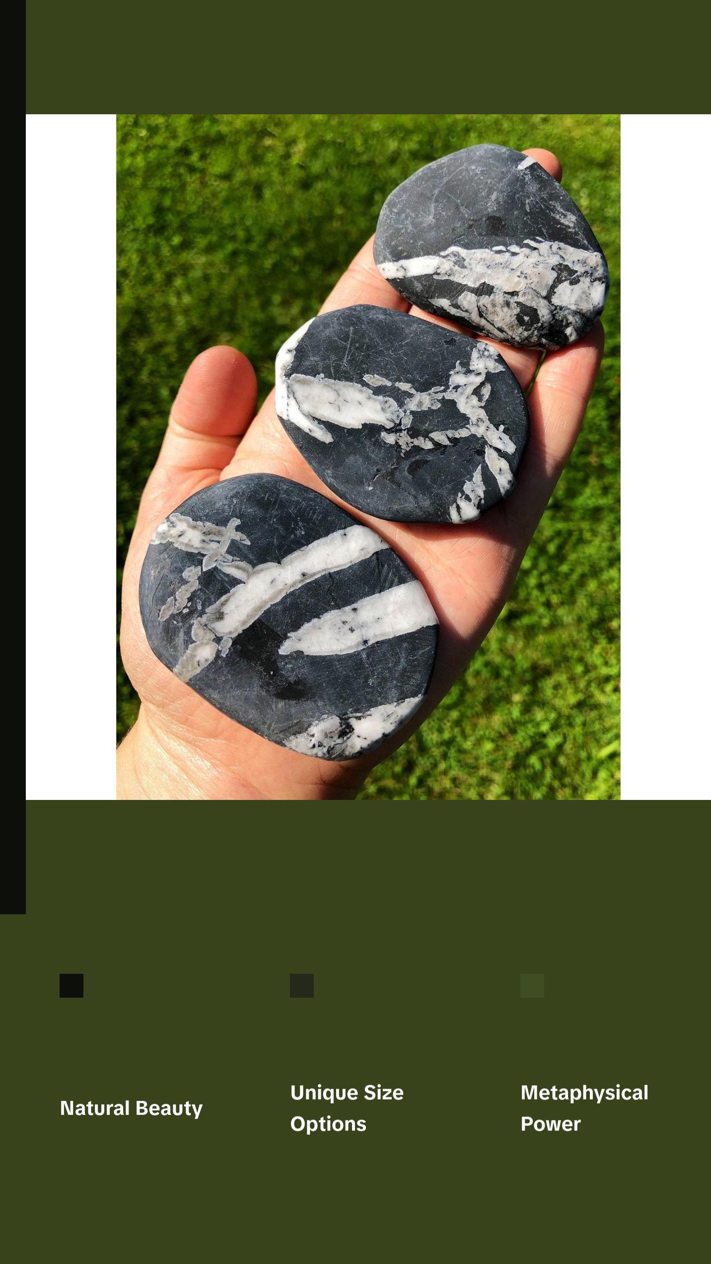 Chrysanthemum Palm Stone - Polished Stone Oval