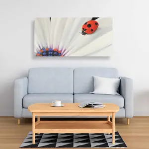Begin Home Decor C1RC244819DG7F 24 x 48 in. White Daisy & Ladybug Canvas - Romantic Bedroom Decor