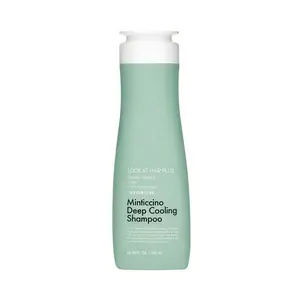 Daeng Gi Meo Ri Look At Hair Loss-Minticcino Deep Cooling Shampoo 500 ml