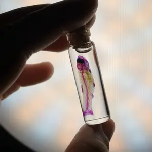 Ethically Sourced Small Diaphonized Fish In Pendant Jar