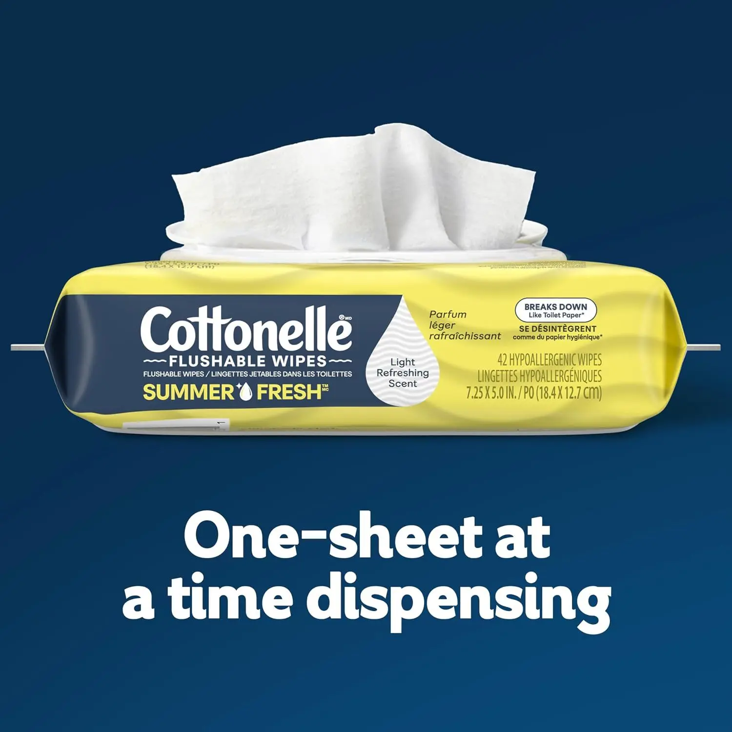 Cottonelle GentlePlus Flushable Wet Wipes with Aloe & Vitamin E, 4 Flip-Top Packs, 42 Wipes Per Pack (168 Total Wipes), Packaging May Vary Cottonelle GentlePlus Flushable Wet Wipes with Aloe & Vitamin E, 4 Flip-Top Packs, 42 Wipes Per Pack (168 Total Wipes), Packaging May Vary